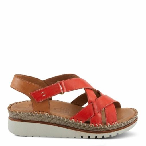 Strandco.shop0fdaaf27e2 4