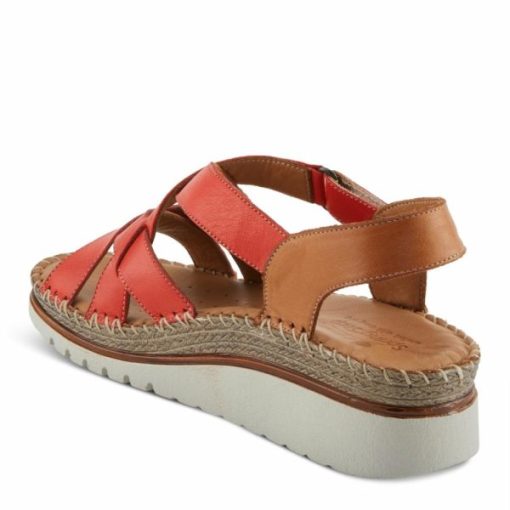 Strandco.shop0fdaaf27e2 6