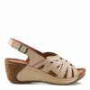 Strandco.shop3312534af4 4