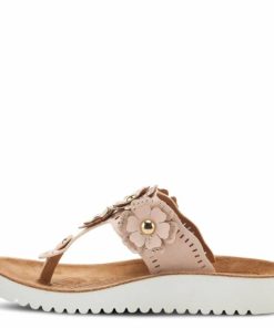 Strandco.shop38b127f86f 2