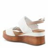 Strandco.shop451322e741 12