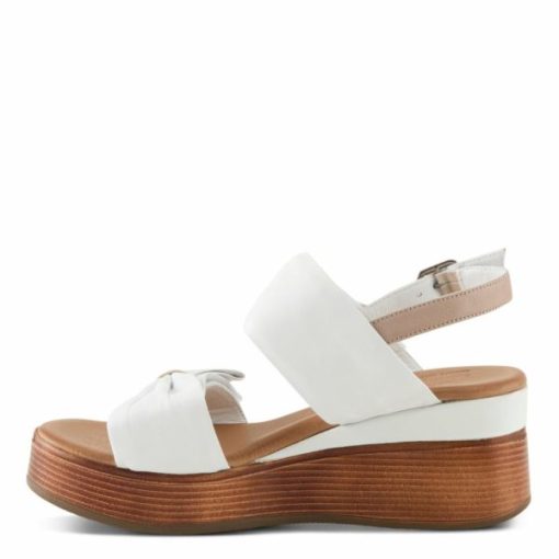 Strandco.shop451322e741 6