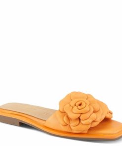 Strandco.shop45de12b822 1
