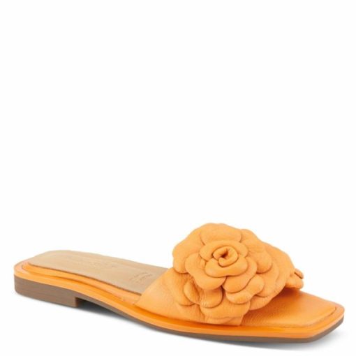 Strandco.shop45de12b822 1