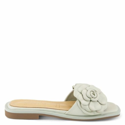 Strandco.shop45de12b822 4