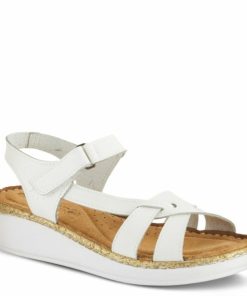 Strandco.shop76bf44a529 1