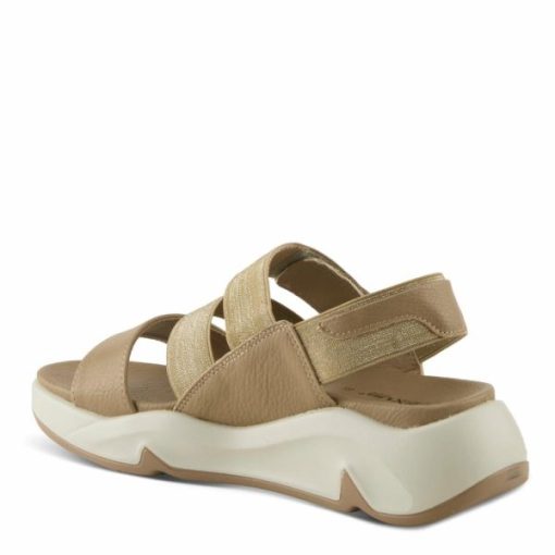 Strandco.shop7ce7760aa5 6