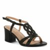 Strandco.shop83832c41fa 1
