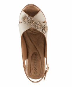 Strandco.shop8767c56311 2