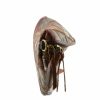 Strandco.shopa91ce83866 3