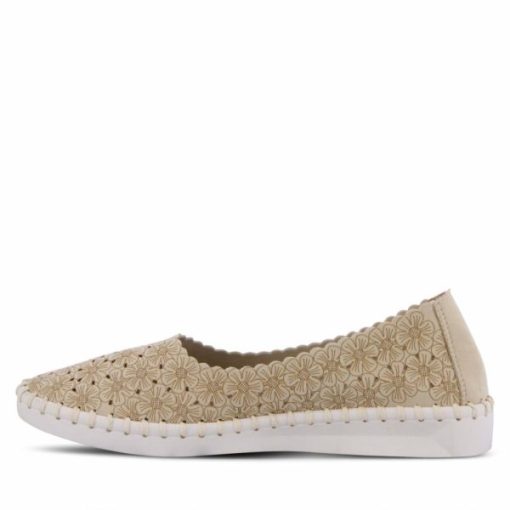 Strandco.shopaa7c098032 12