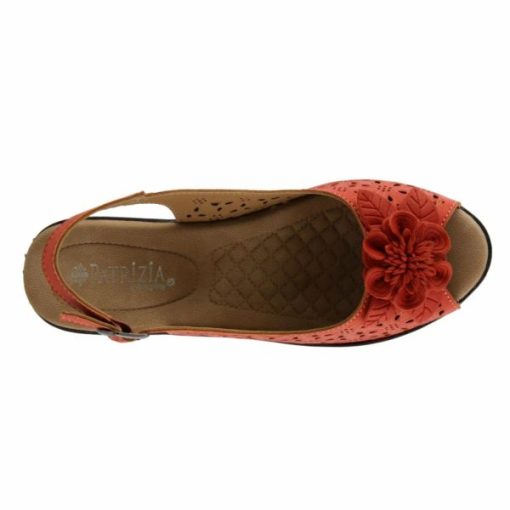 Strandco.shopac334124f3 10