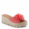 Strandco.shopc032738665 1