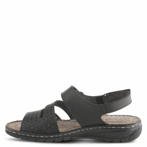 Strandco.shopc7fbcdebb8 1