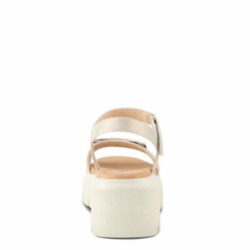 Strandco.shopcf6d1828bf 2