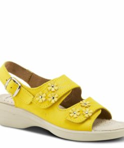 Strandco.shopcf7ff2d7be 1