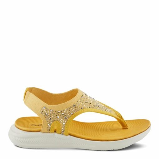 Strandco.shopd31ce5ffb9 8