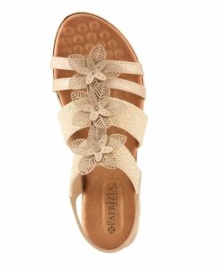 Strandco.shopd64cb80541 2