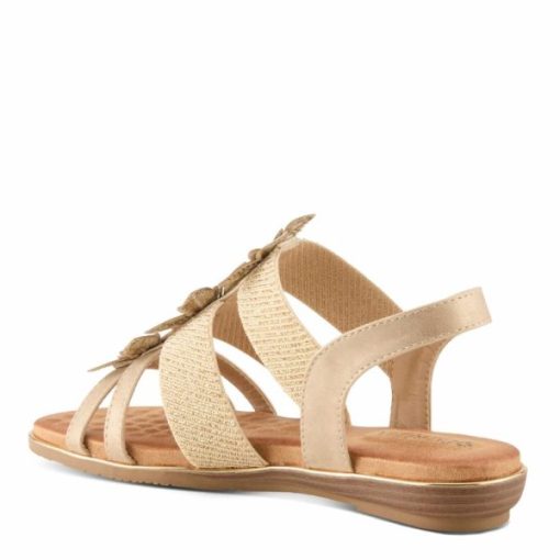 Strandco.shopd64cb80541 6
