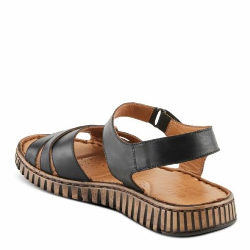 Strandco.shope462cd1c42 14