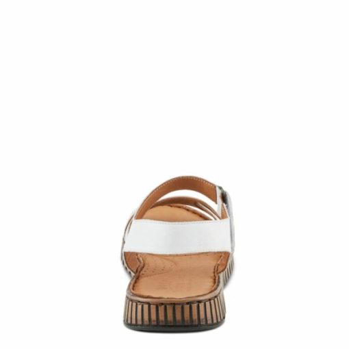 Strandco.shope462cd1c42 3