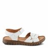 Strandco.shope462cd1c42 4