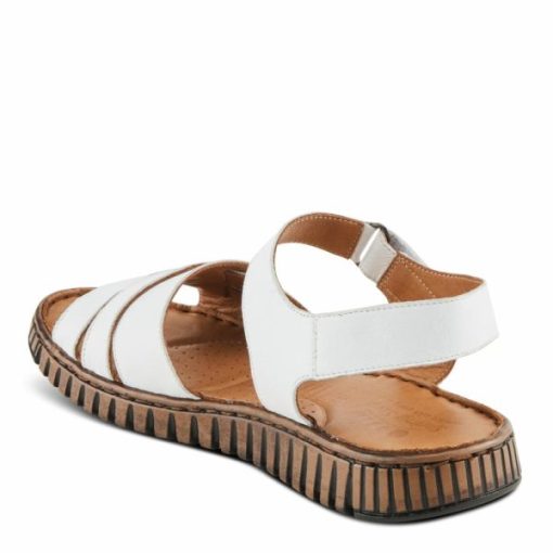 Strandco.shope462cd1c42 6
