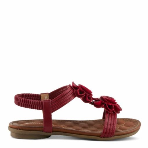 Strandco.shope6a9be5df5 1