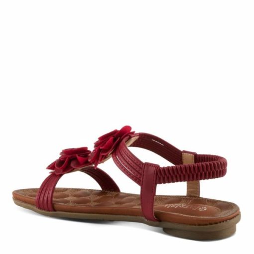 Strandco.shope6a9be5df5 2