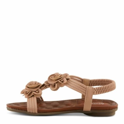Strandco.shope6a9be5df5 3