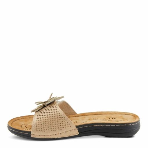Strandco.shopefd00d9148 12