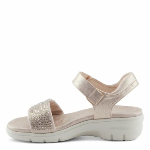 Strandco.shopf455ca8f69 7