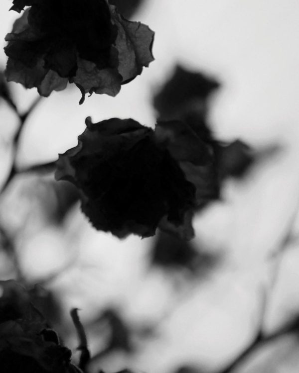 Strandco.shopbaf836f889 3